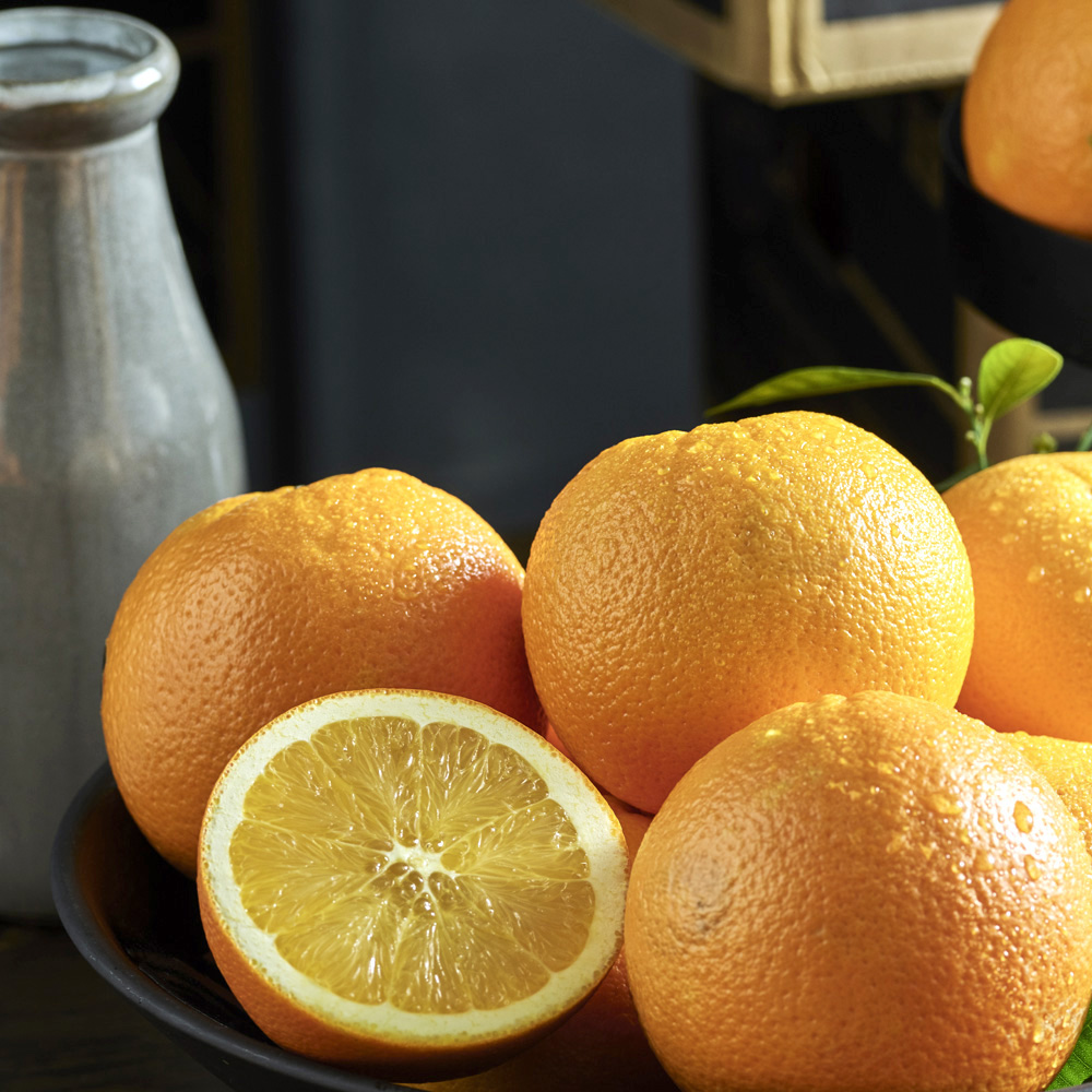 네이블 오렌지 점보과